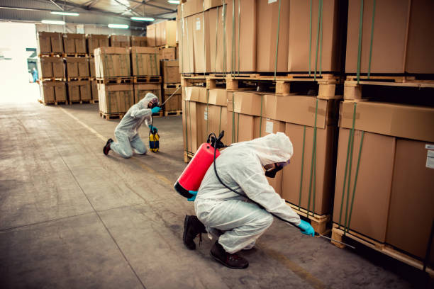 Reliable Westchester, FL Pest Control Solutions