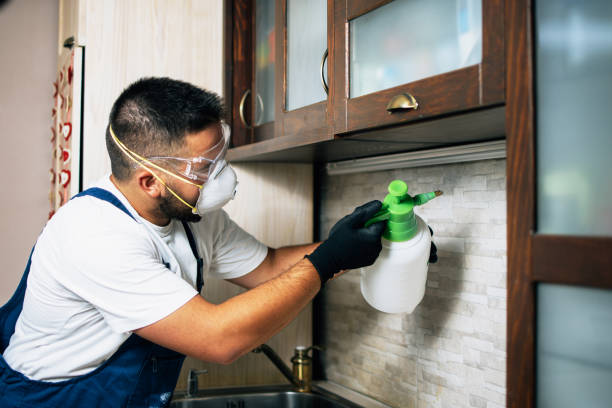 Best Pest Removal Services  in Westchester, FL