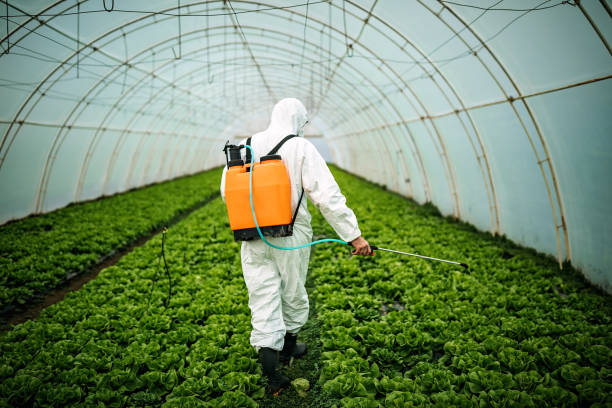 Best Local Pest Control Services  in Westchester, FL