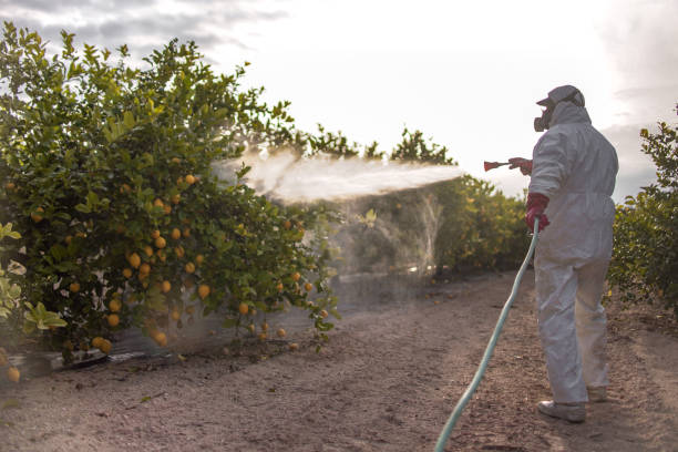Best Mosquito Control Services  in Westchester, FL