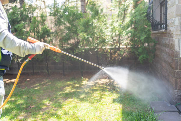 Best Flea Control Services  in Westchester, FL