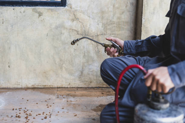 Best Termite Control Services  in Westchester, FL